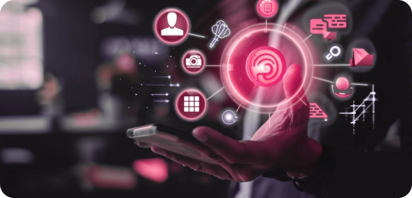 SEO UX UI tasarım design