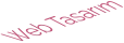Web Tasarım